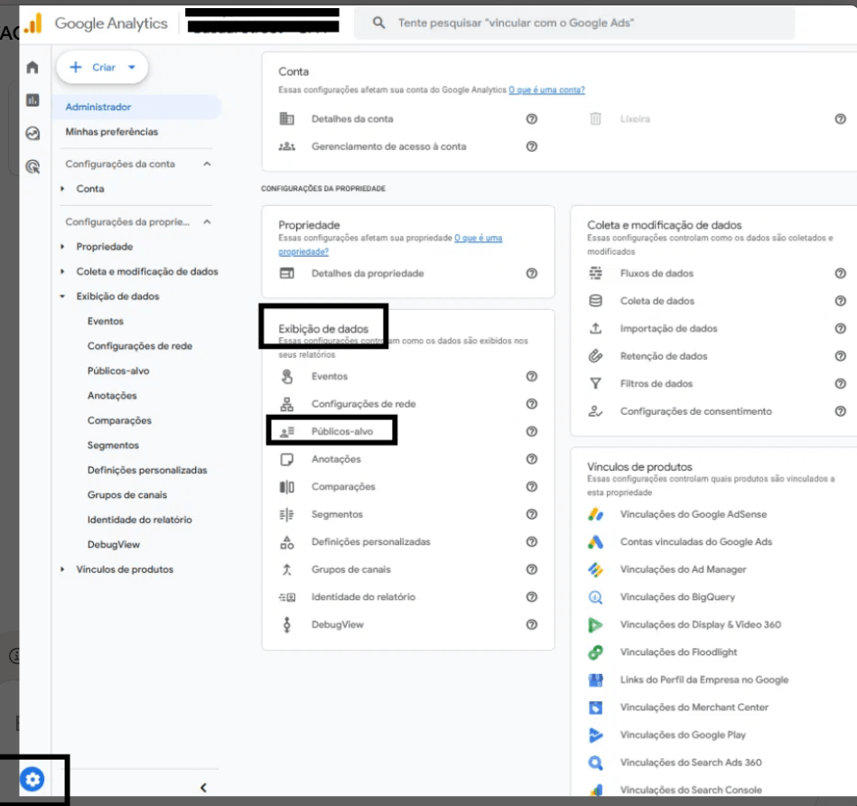 Tela de Administrador do Google Analytics com o card Exibição de dados e a opção Públicos-alvo em destaque